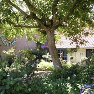 Gastehaus Und Cafe - Lichthof Gasthof